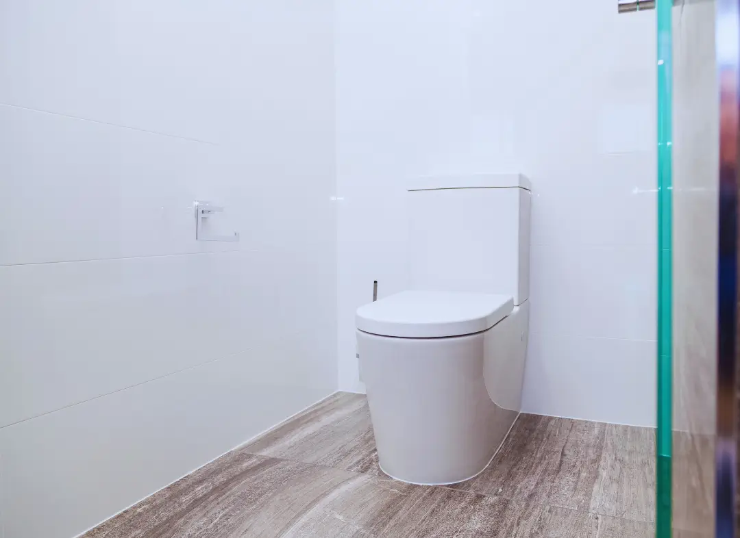 Remplacement de wc Algrange